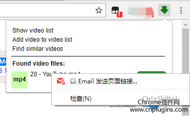 使用 Video Downloader professional 下载youtube视频步骤2