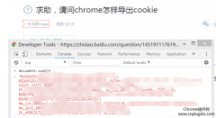 chrome怎样导出cookies?chrome导出cookies的方法