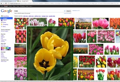 ImageZoomer插件图片