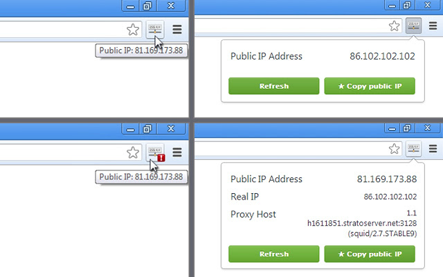 View IP address插件图片