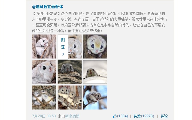 新浪微博之我要看大图插件图片