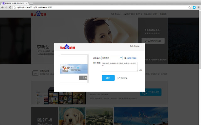 BaiduPic插件图片