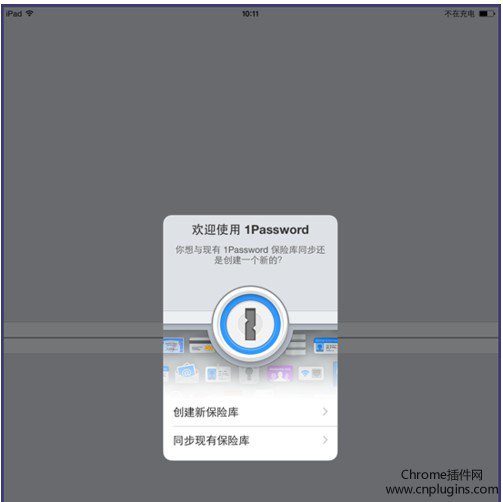 1password1