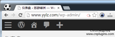 chromeipass浏览器标识