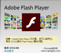＂chrome adobe flash player不是最新版本＂的终极解决方案