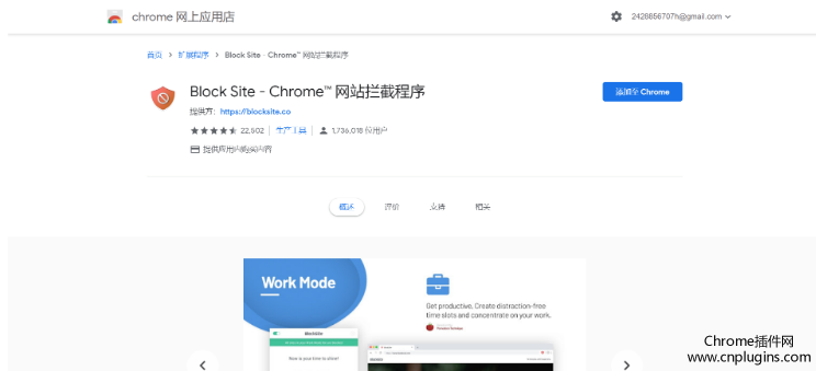 Block Site - Chrome™ 网站拦截程序概述