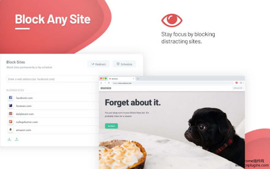 Block Site - Chrome™ 网站拦截程序使用方法