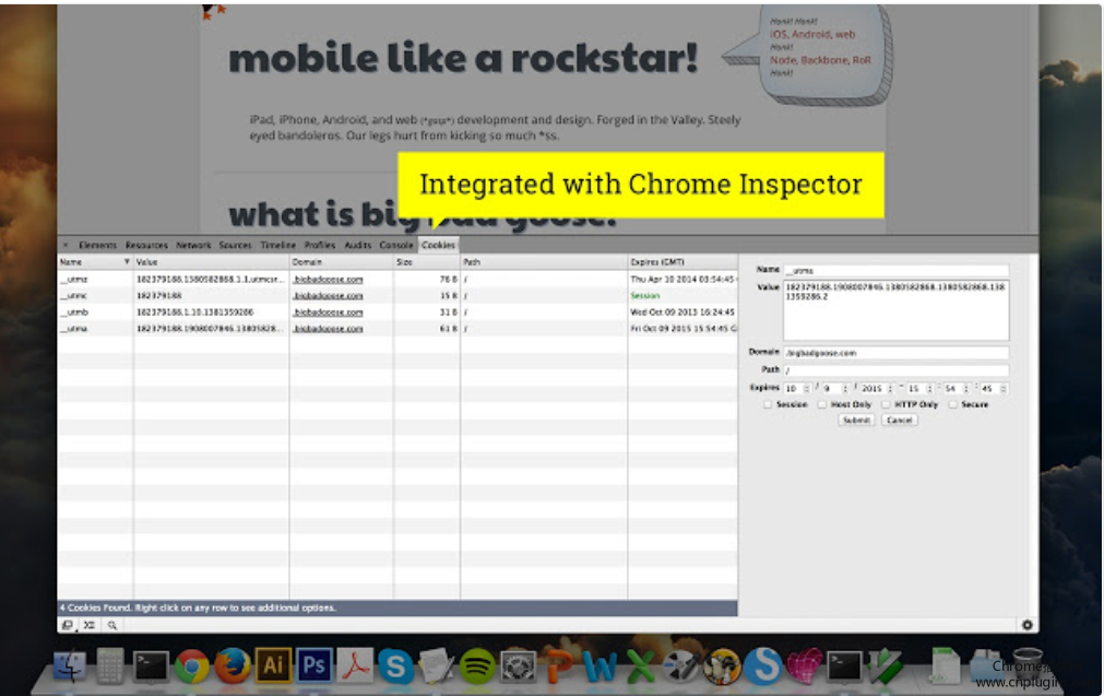 Cookie Inspector插件安装使用