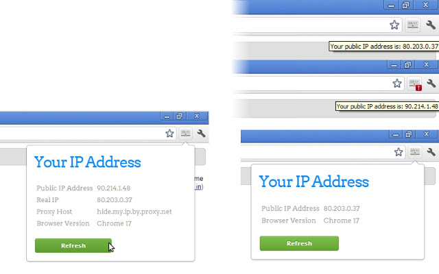 View IP address插件图片