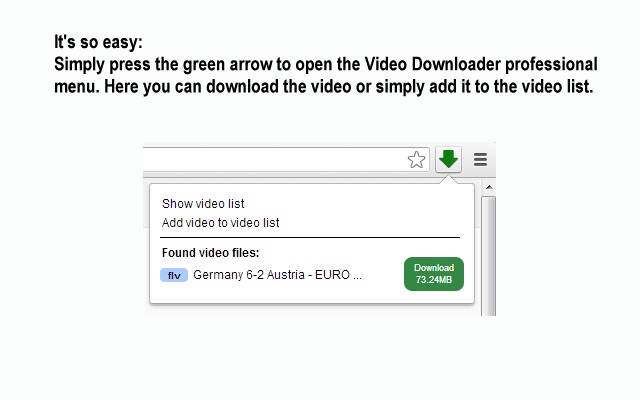 Video Downloader professional：专业的视频下载器插件图片