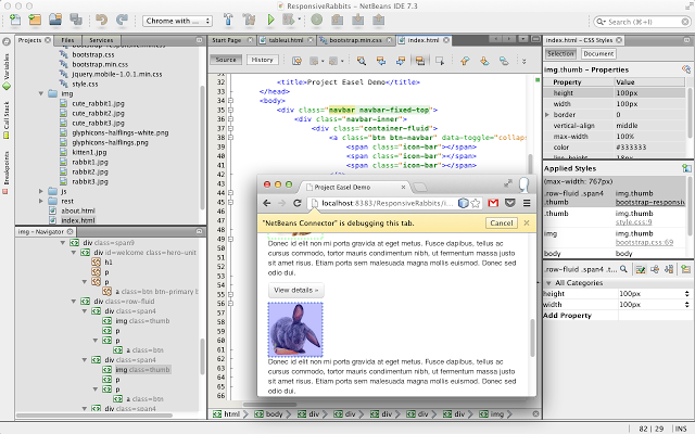 NetBeans Connector Chrome插件图片