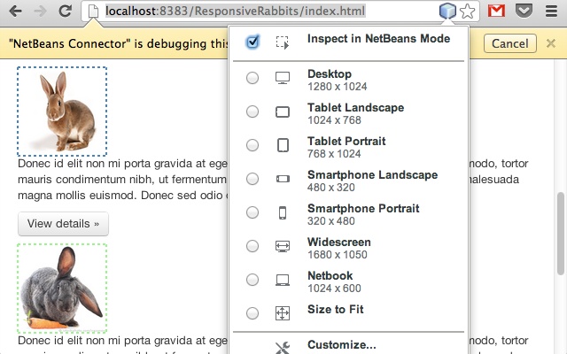 NetBeans Connector Chrome插件图片