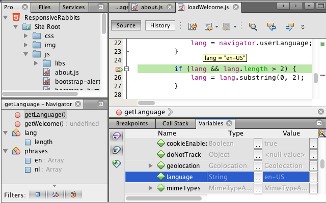 NetBeans Connector Chrome插件图片