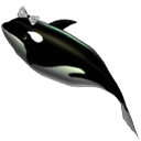 鲸鱼夫妇（Baby Whale）
