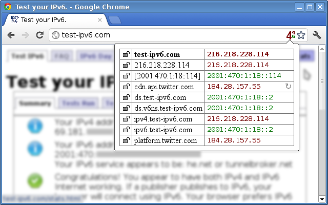 IPvFoo Chrome插件图片