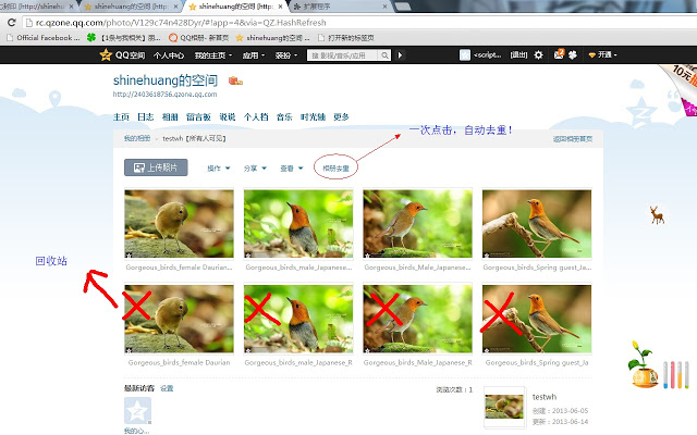 Chrome For Qzone Photo插件图片