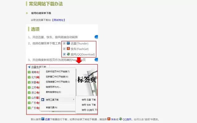 Thunder,QQDownload,FlashGet Files Downloader Pro插件图片