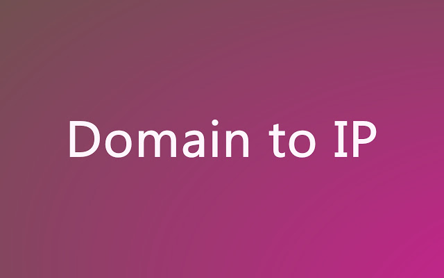 Domain to IP插件图片