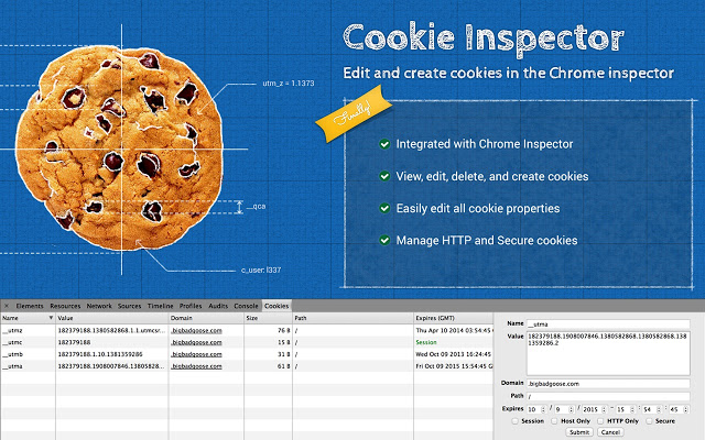 Cookie Inspector Chrome插件图片