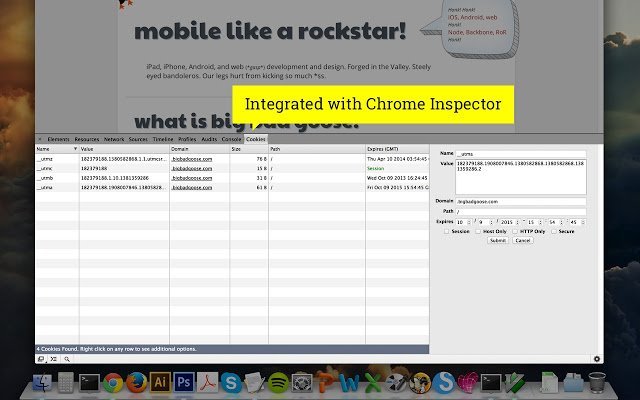 Cookie Inspector Chrome插件图片