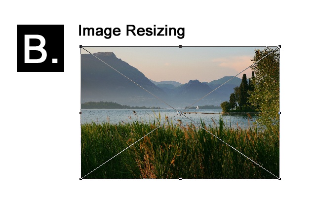 Resize Images插件图片