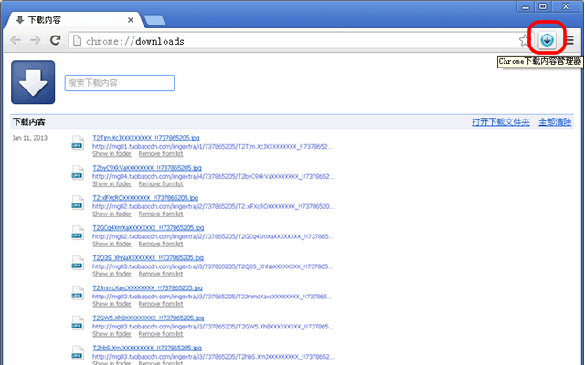 Chrome下载管理器插件图片