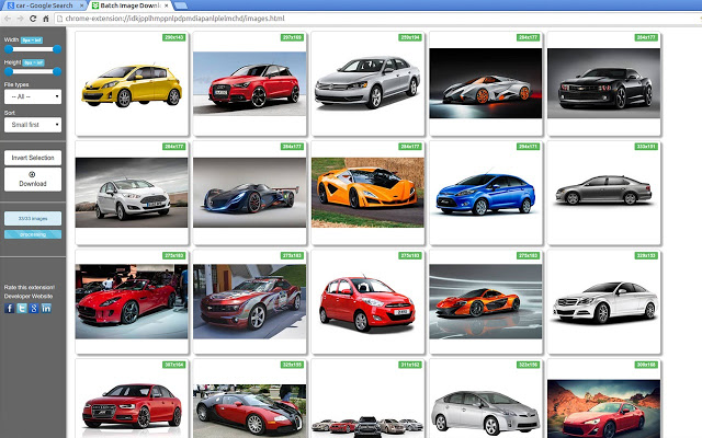 Bulk Image Downloader V1.0.0 Chrome插件图片