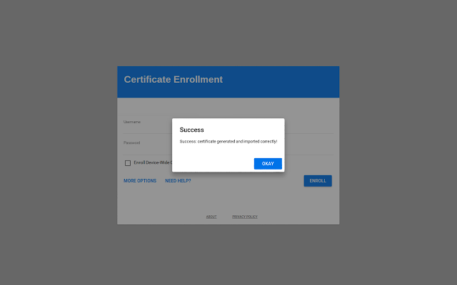 Chrome 操作系统证书注册插件图片