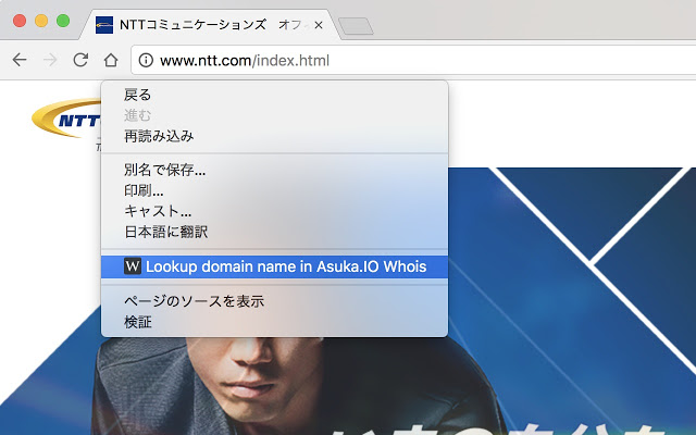 Asuka.IO Whois - 域查找工具插件图片