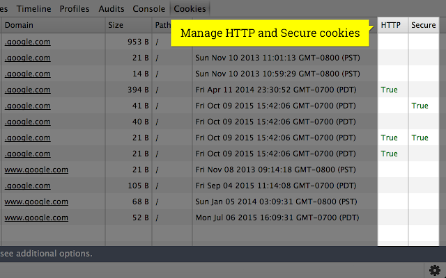 Cookie Inspector v2.0.9插件图片