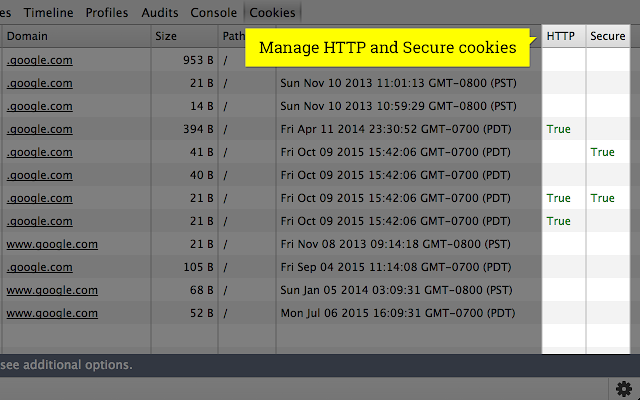 Cookie Inspector v2.0.9 Chrome插件图片