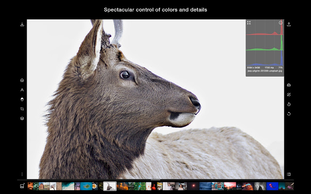 Polarr Photo Editor Extension v5.0.2插件图片