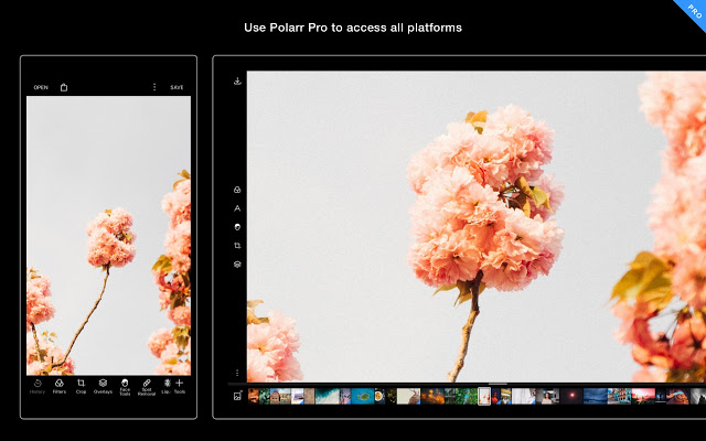 Polarr Photo Editor Extension v5.0.2插件图片