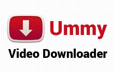 Flash Video Downloader